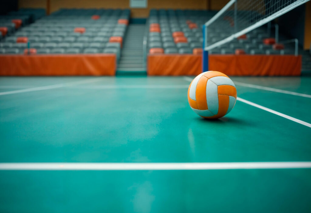 pintura para canchas